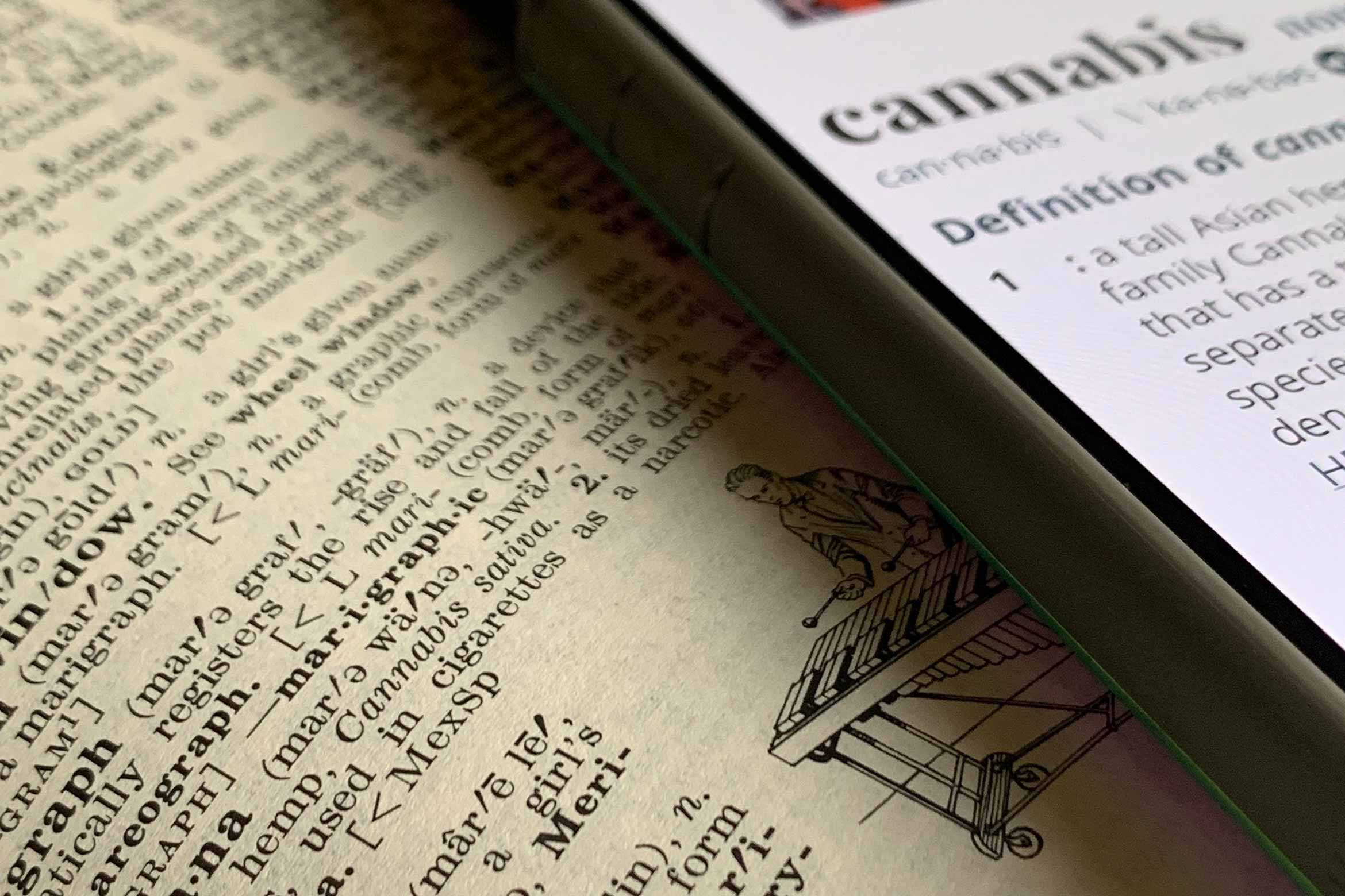 Dictionary cannabis definition page